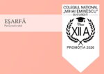 Eșarfe de absolvire - imagine 18